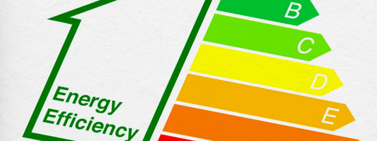 Energy Performance Certificate (includes floorplan where required)